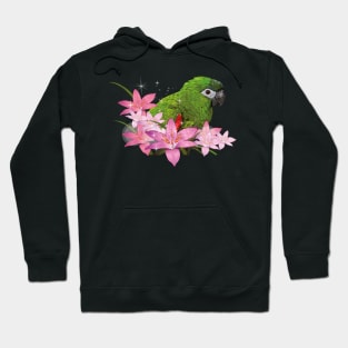 Noble macaw Hoodie